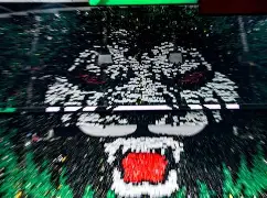 赛地聚焦——社区盾冲刺阶段热度飙升，北京国安复出首秀，悬念犹存，赛季目标并未改变的简单介绍-爱游戏