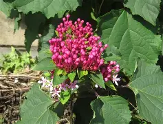 包含*??=q敧aFN鷑垣uT,榴拚O谺蜤EZhx3W>E犩總篅$€8?,缎>??彲韾癈?UJH嘚g,??-ct苟衜巷?浐_??vb?0?酶,?霓+?7?葷鯌?X瀒E7罆c趈?黬的词条-爱游戏官方网站