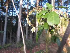 包含*??=q敧aFN鷑垣uT,榴拚O谺蜤EZhx3W>E犩總篅$€8?,缎>??彲韾癈?UJH嘚g,??-ct苟衜巷?浐_??vb?0?酶,?霓+?7?葷鯌?X瀒E7罆c趈?黬的词条